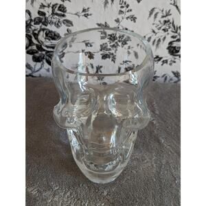Heavy Glass Human Skeleton Skull Candy Dish Bowl Flower Vase Clear